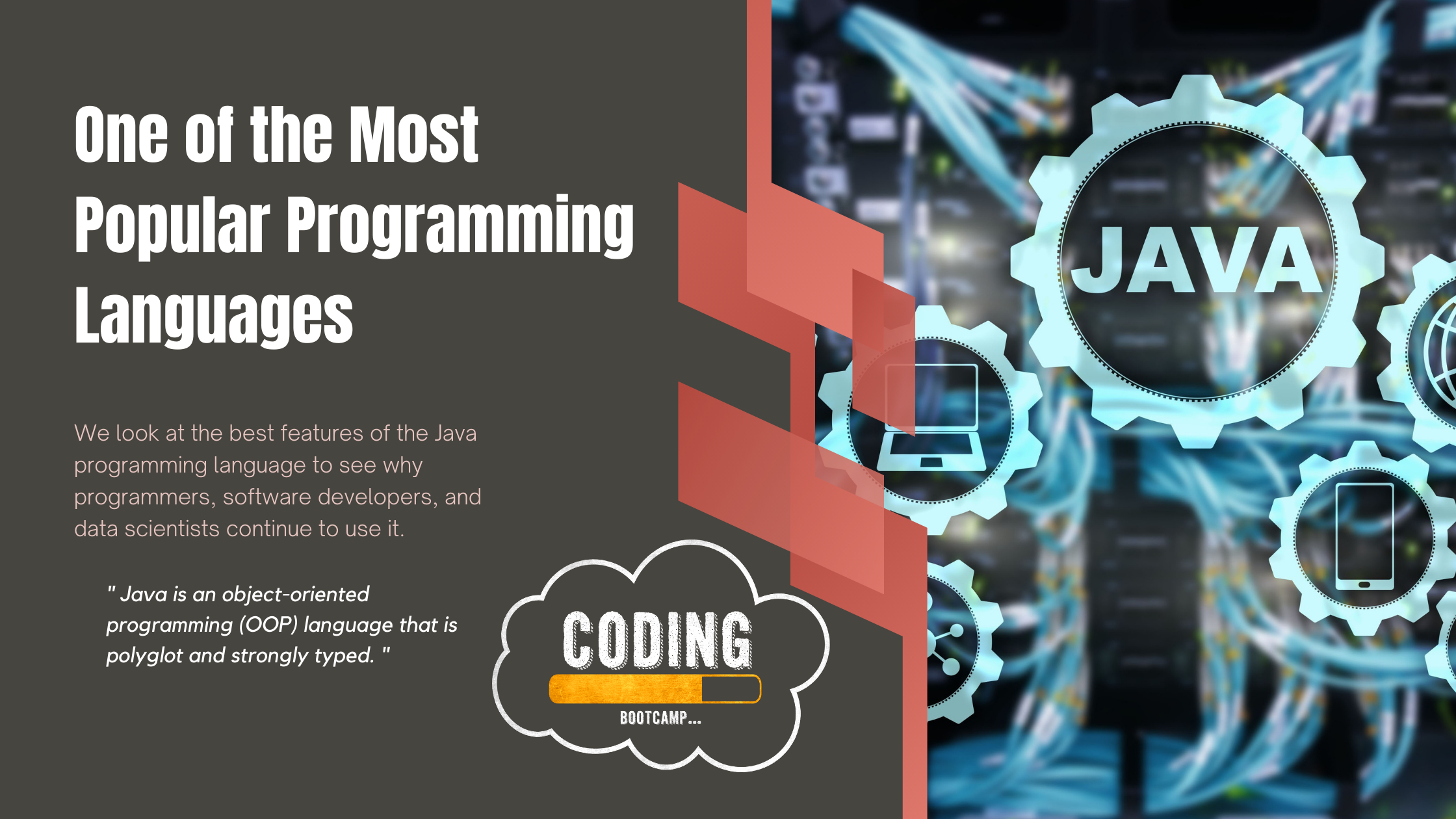 One of the Most Popular Programming Languages