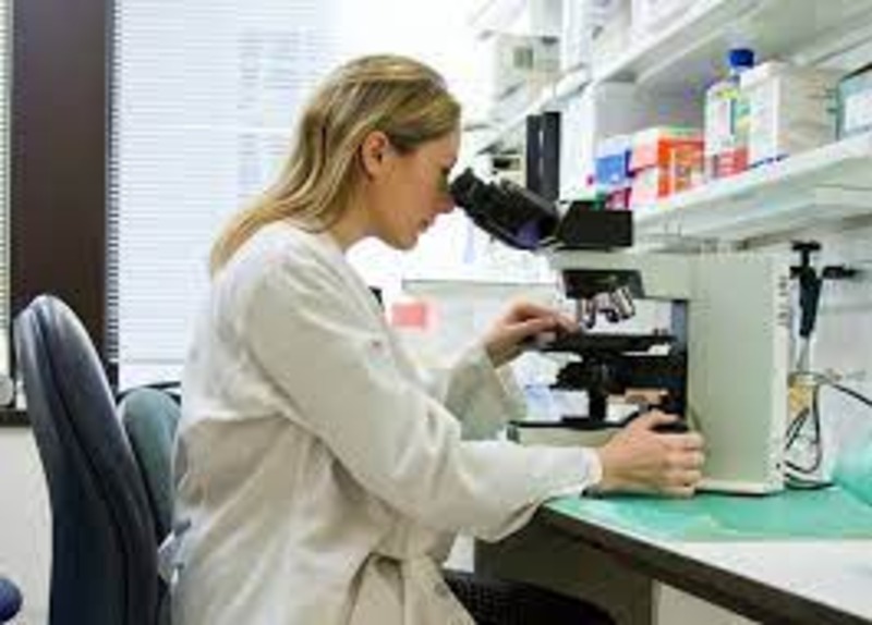 Transforming Clinical Research: A Comprehensive Guide to Adapting Trials for the Digital Age