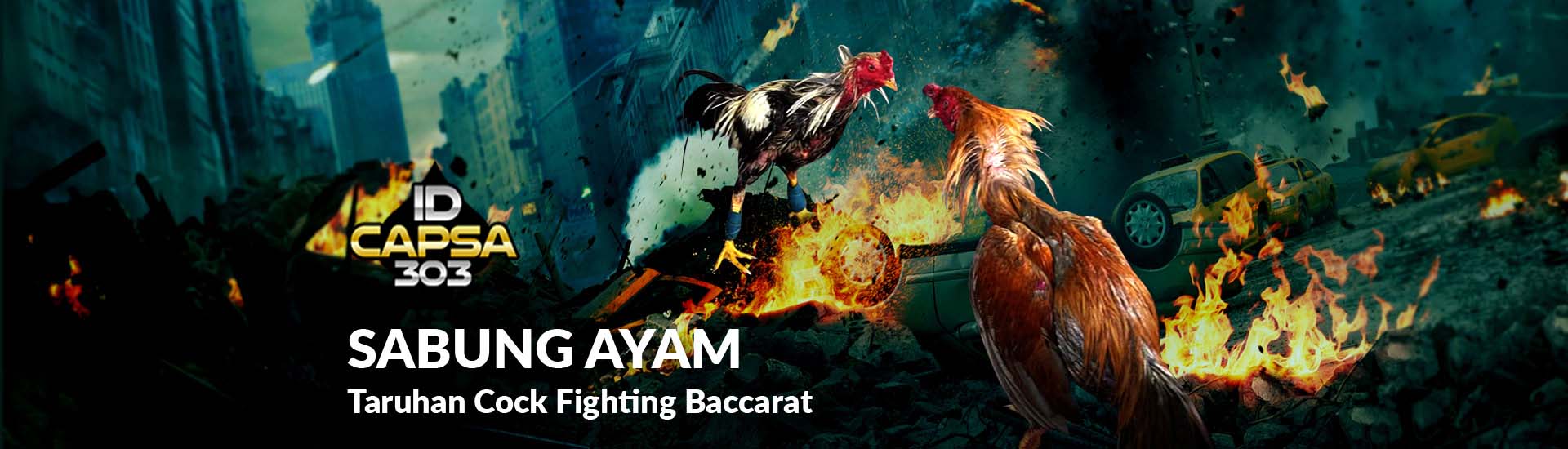 Blog resmi judi sabung ayam online sv388